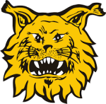 Tampere Ilves Keltavihreä